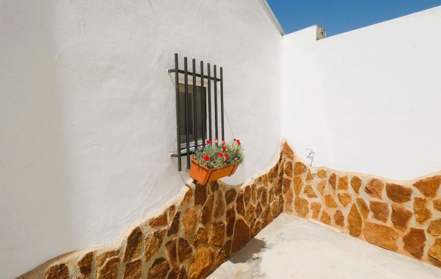 Sale - Finca - Dolores
