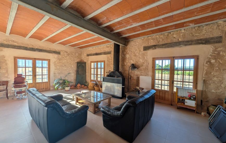 Sale - Finca - Salinas