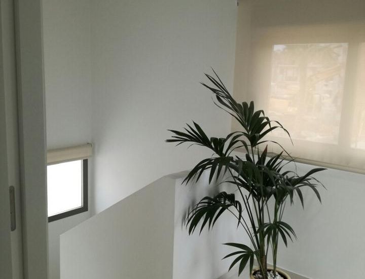 New Build - Villa - San Miguel de Salinas
