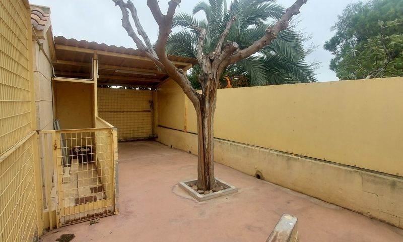 Sale - Villa - Hondón de las Nieves