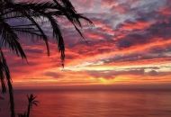 Venta - Bungalow - Torrevieja