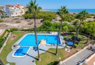 Sale - Apartments - La Mata