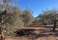 Venta - Casa Rural - 