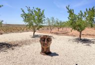 Venta - Casa Rural - Pinoso