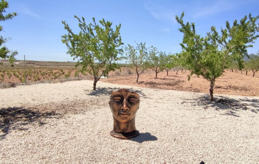 Venta - Casa Rural - Pinoso