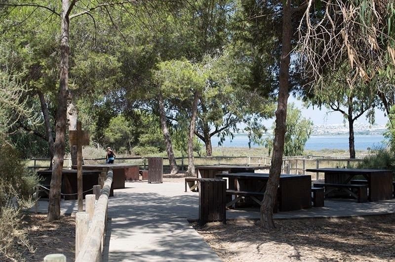 Sale - Apartments - La Mata - 