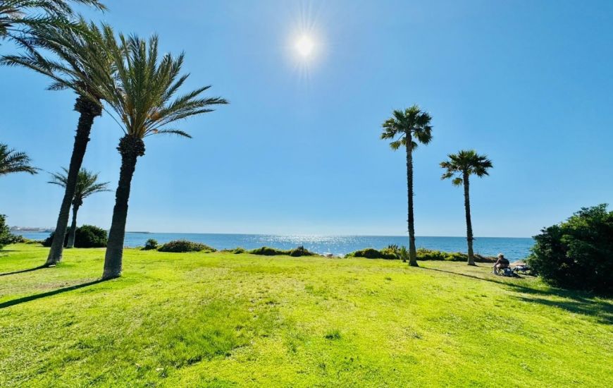 Sale - Apartments - La Veleta