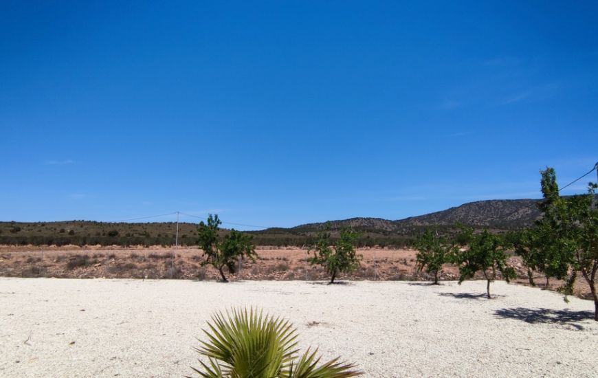 Venta - Casa Rural - Pinoso