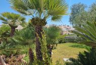 Venta - Apartamentos - Torrevieja