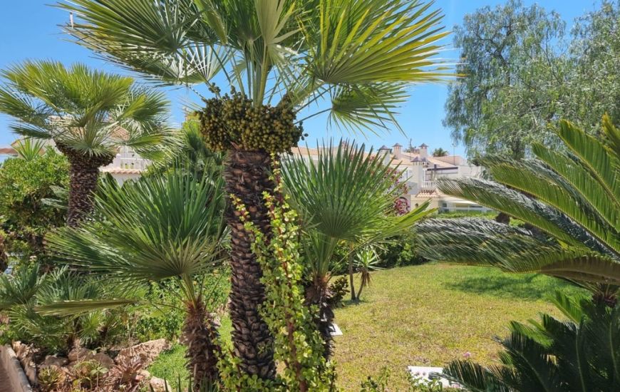 Venta - Apartamentos - Torrevieja