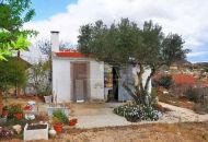 Sale - Villa - 