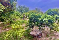 Sale - Apartments - Rojales