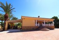 Sale - Finca - Catral