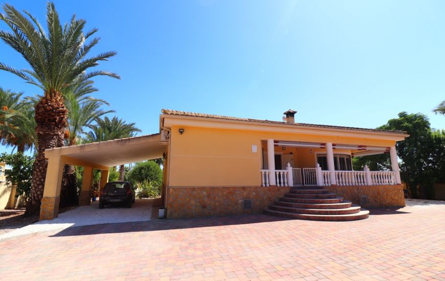 Sale - Finca - Catral