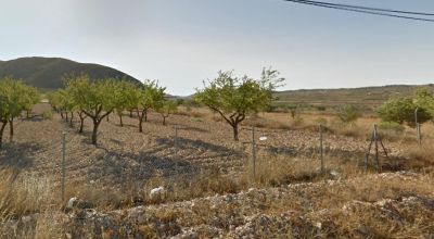 Terreno - Venta - Orihuela - Orihuela