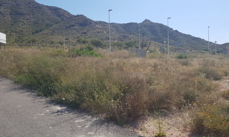 Sale - Land - Aspe