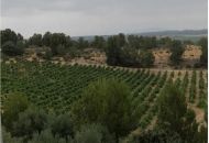 Venta - Casa Rural - 