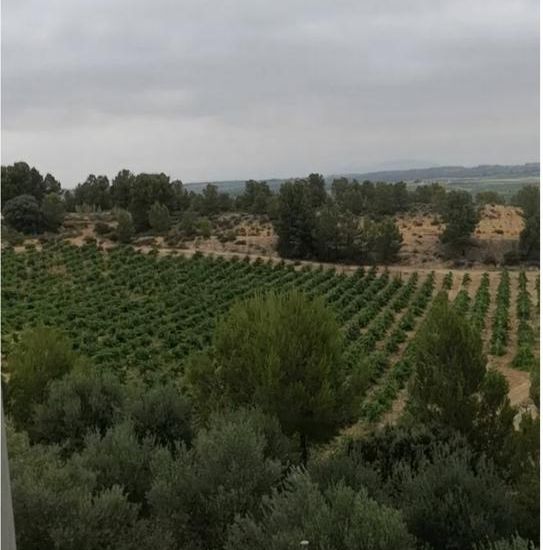 Venta - Casa Rural - 