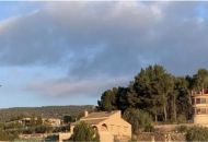 Sale - Finca - 