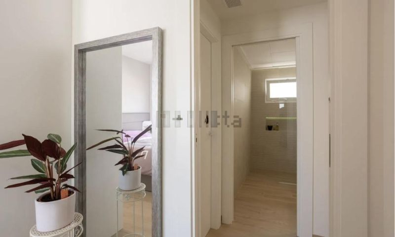 Sale - Apartments - San Miguel de Salinas - San Miguel De Salinas