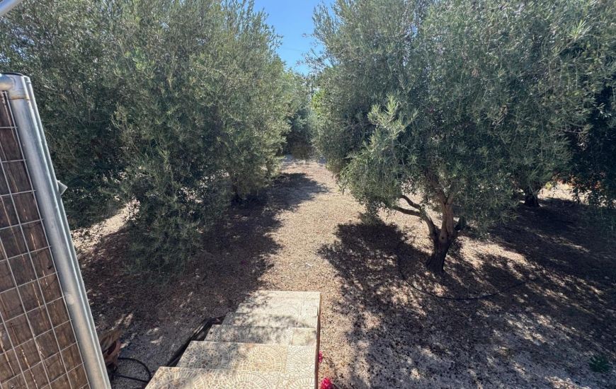 Sale - Commercieel - Albatera