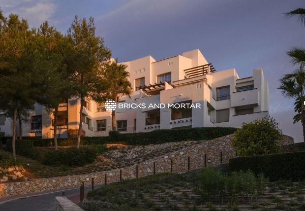 Sale - Apartments - San Miguel de Salinas - San Miguel De Salinas