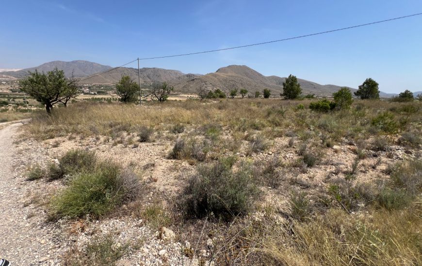 Sale - Land - Hondon de los Frailes