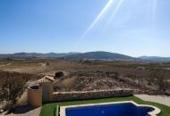 Sale - Finca - Pinoso