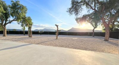 Finca - Sale - Aspe - Aspe