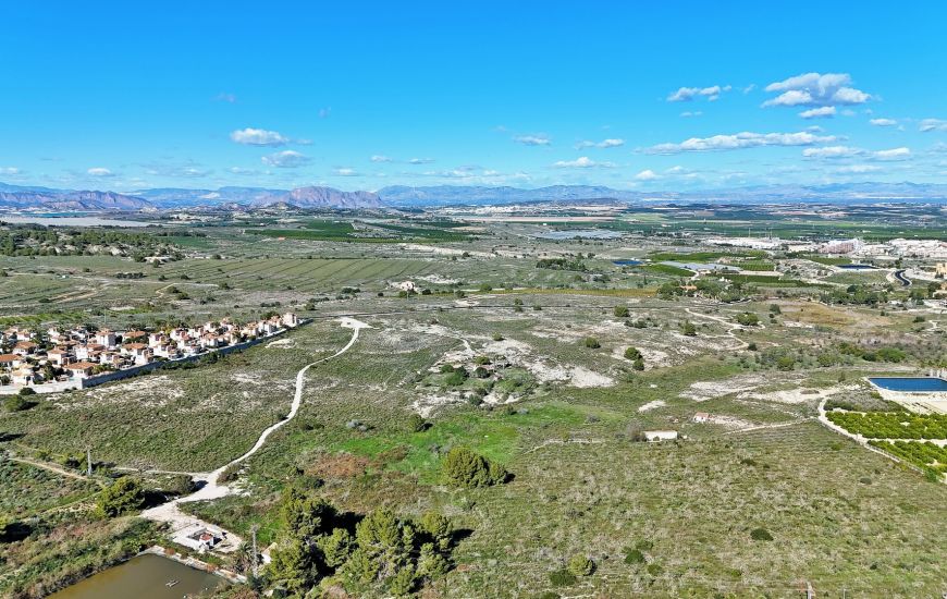 Sale -  - San Miguel de Salinas - 