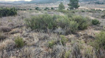 Land - Sale - La Romana - La Romana