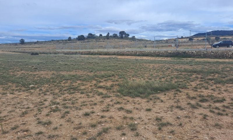 Venta - Terreno - Jumilla