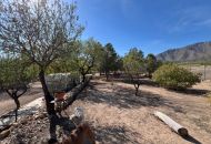 Sale - Country Property - Hondon de los Frailes