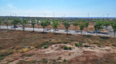 Apartments - Sale - Pilar de la Horadada - Pilar de la Horadada