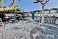 Sale - Country Property - Guardamar del Segura