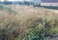 Sale - Land - Aspe
