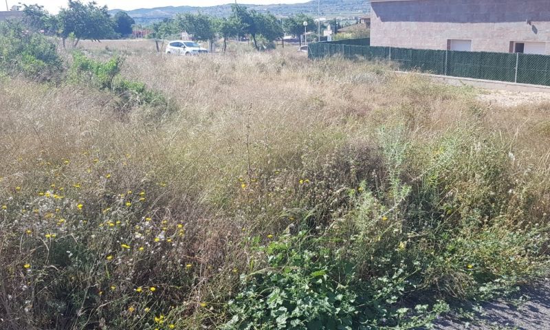 Sale - Land - Aspe