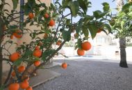 Sale - Apartments - La Zenia