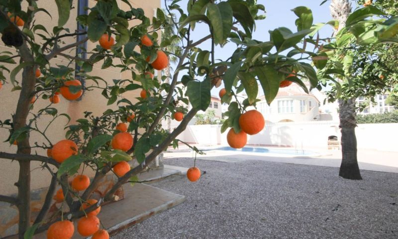 Sale - Apartments - La Zenia