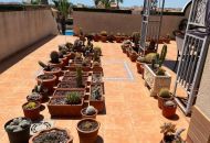 Sale - Apartments - Orihuela Costa