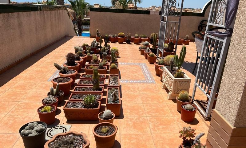 Sale - Apartments - Orihuela Costa