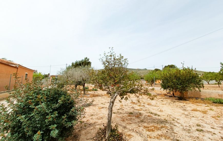 Sale - Villa - Hondon de los Frailes