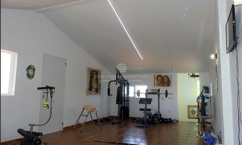 Venta - Apartamentos - 