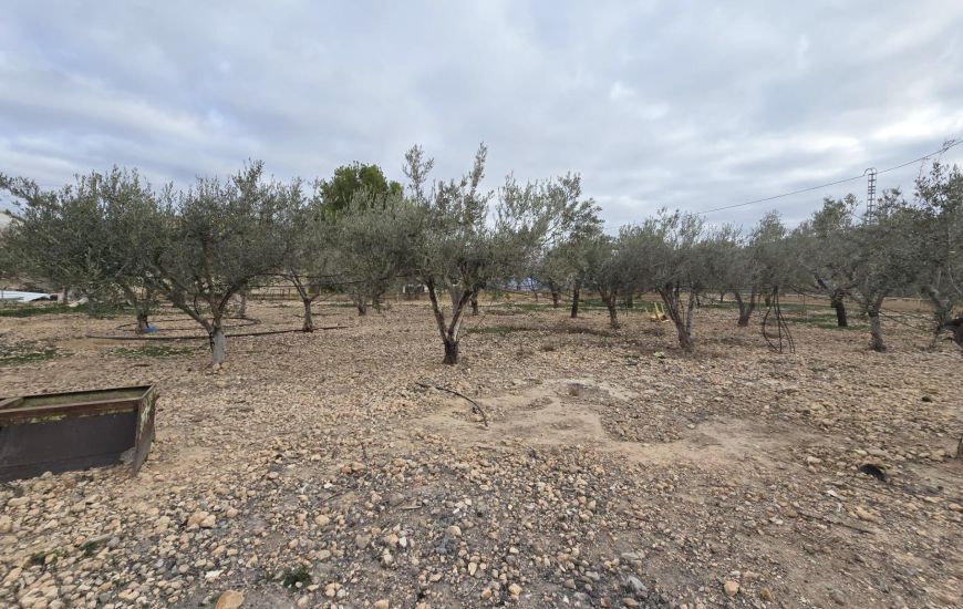 Venta - Casa Rural - Hondón de las Nieves