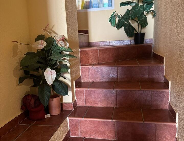 Venta - Villa - Playa Flamenca - Play Flamenca