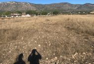 Venta - Terreno - Salinas