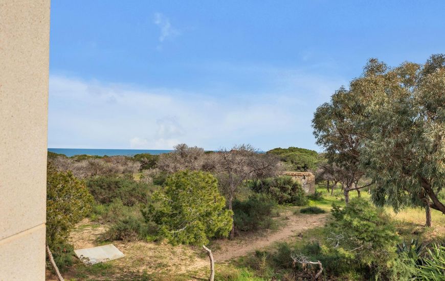 Sale - Villa - Guardamar del Segura