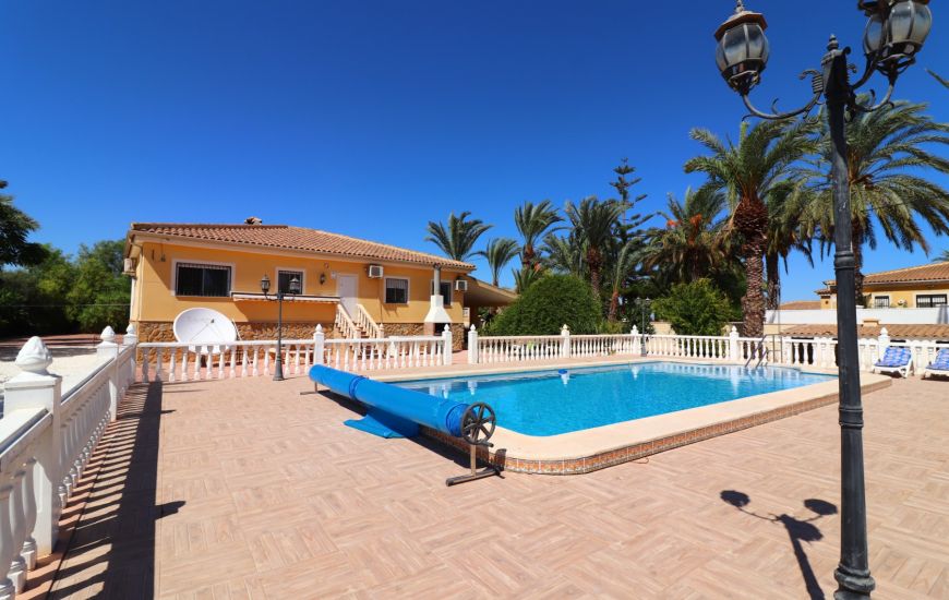 Sale - Finca - Catral