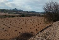 Venta - Terreno - Murcia