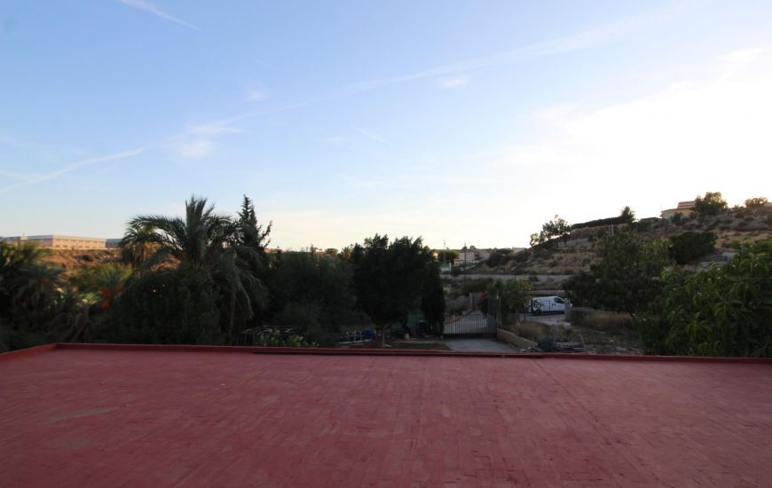 Sale - Finca - Elche